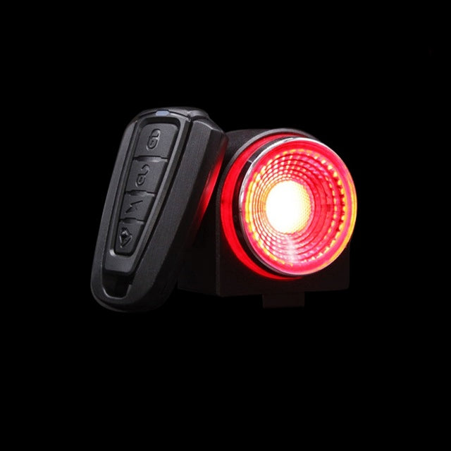 Anti-Theft Alarm Lock & Automatic Brake Taillight